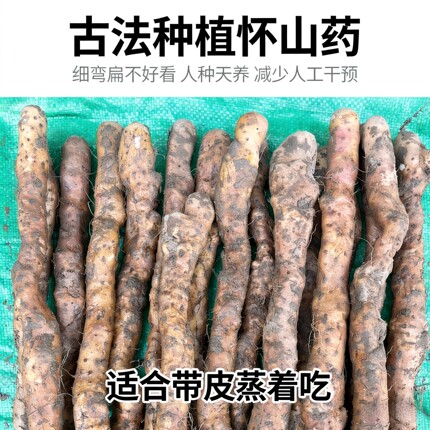 弯曲扁丑古法种植新鲜河南焦作温县硬垆土地铁棍山药怀山药5斤淮