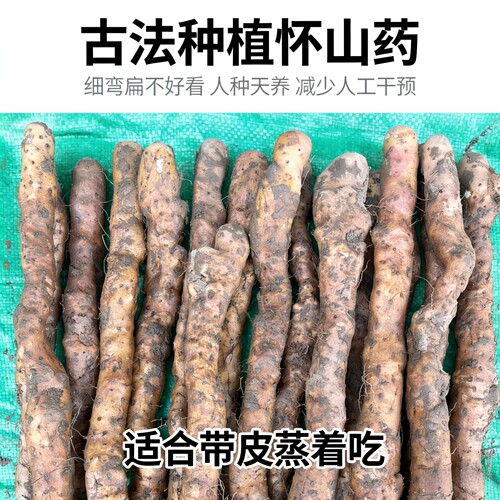 弯曲扁丑古法种植新鲜河南焦作温县硬垆土地铁棍山药怀山药5斤淮