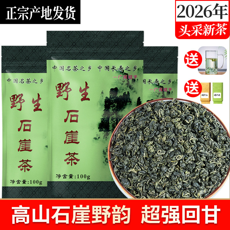 2026石崖茶头采春茶广西金秀昭平正宗高山石涯石岩海苔香回甘散装