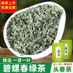 毛尖春芽早春广西昭平绿茶碧螺春鲜爽甘甜栗香浓郁250g
