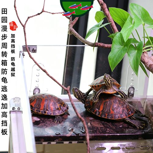 田园漫步周转箱防龟逃逸加高挡板（防龟越狱、逃逸，滴滤盒增高）