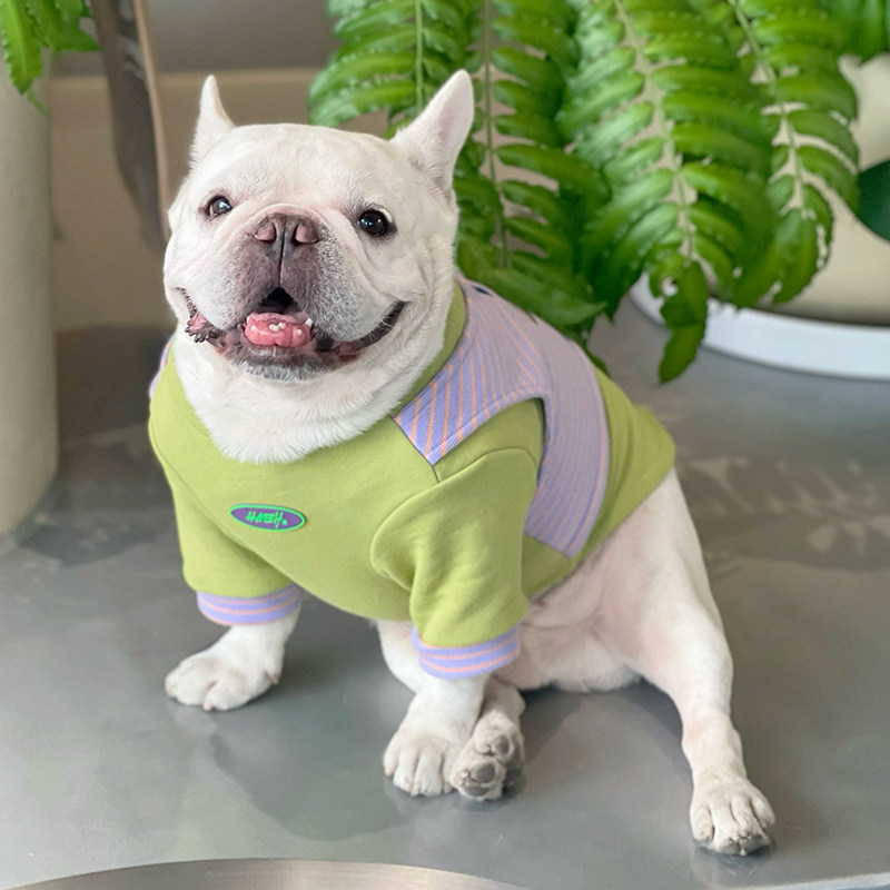 秋冬款法斗巴哥斗牛犬衣服套头保暖假两件卫衣可爱潮牌短袖服饰