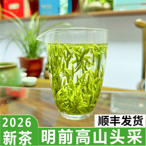 土种舒城特级250克高山明前头采