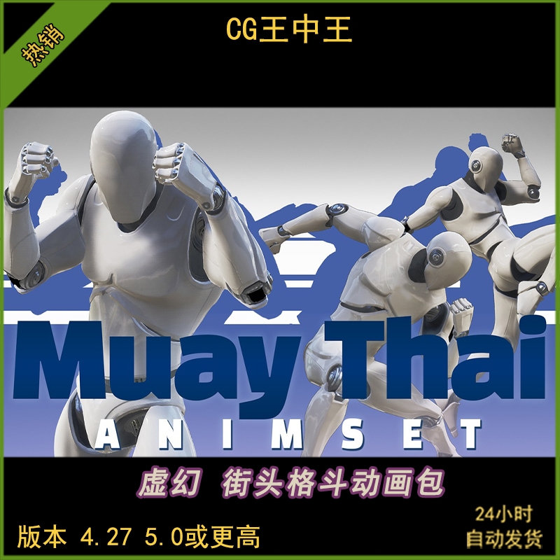 UE5虚幻4.27-5.5+近身街头格斗泰拳击手打斗武术动作RPG动画包