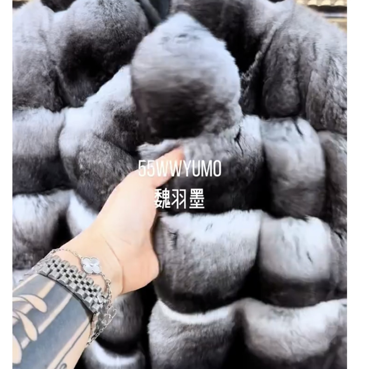 WWYUMO 2025新款进口青紫蓝皮草外套女整貂马甲中长款貂皮大衣