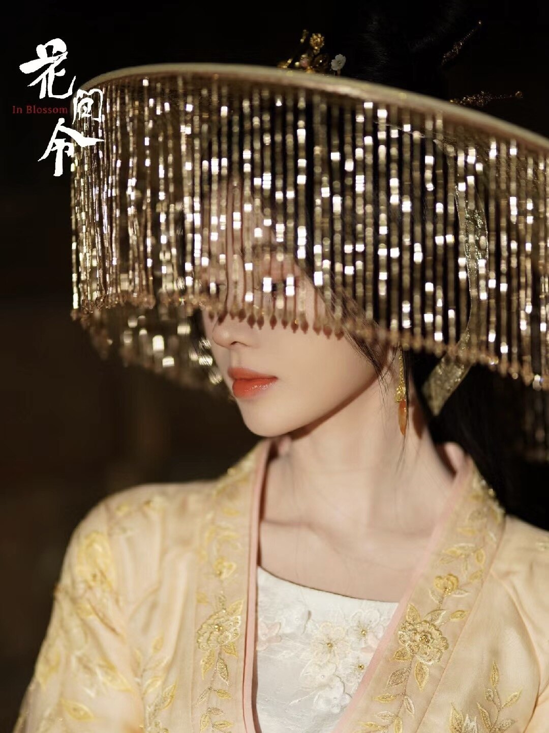 花间令同款汉服鞠婧祎帷帽流苏防晒唐古风舞蹈走秀帽子女斗笠幕篱