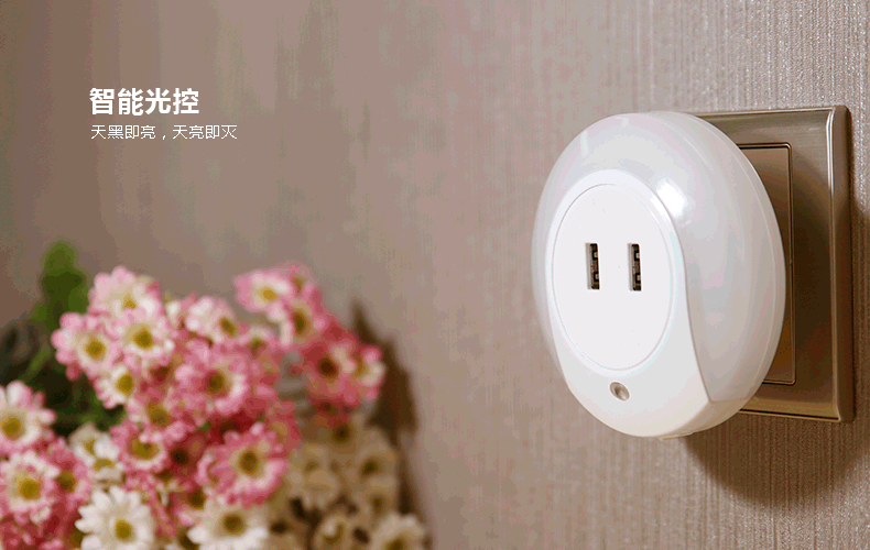 chargeur pour téléphones SAMSUNG SAMSUNG - Ref 1301200 Image 5