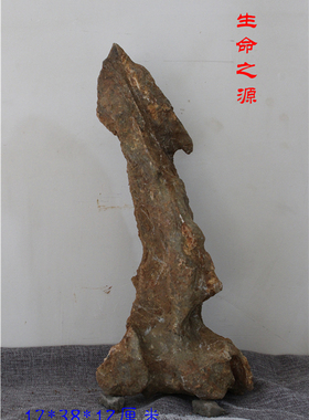 摆件生命之源案头石