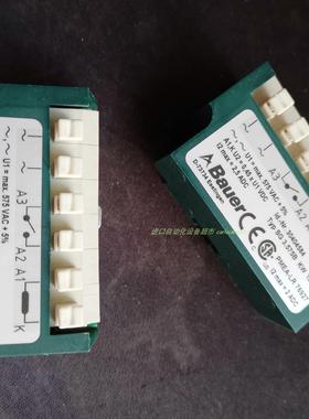 BAUER BS10-24V/DSE06LA4电机BS04-34V/D05LA4