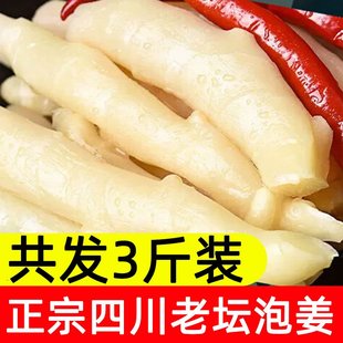酸姜泡姜四川泡姜泡姜泡菜真空袋装老坛正宗成品配料酸菜配料