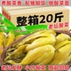 20斤酸菜鱼酸菜整箱商用老坛腌制重庆小叶芥菜泡菜脆嫩批发酸辣