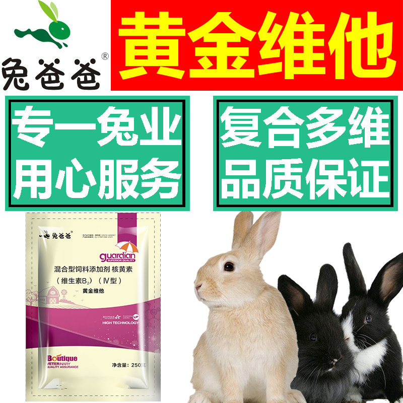 兔爸爸兔子专用强效速溶电解多维