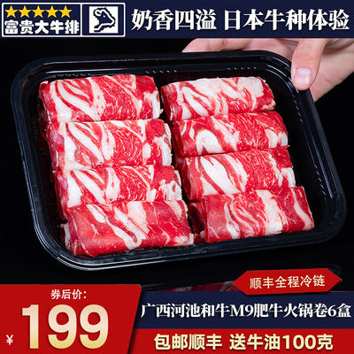 包邮6盒广西河池m9肥牛火锅卷