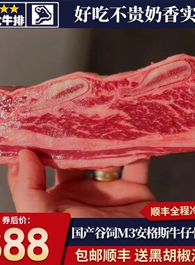 包邮10斤国产m3雪花牛仔骨中段带骨牛小排原切谷饲和牛烧烤清真牛