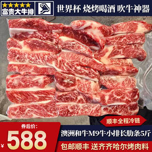 包邮5斤澳洲243厂m9和牛无骨牛小排长牛肋条雪花原切奶香烧烤清真