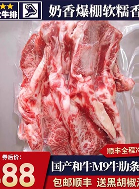 包邮10斤国产和牛m9无骨牛肋条雪花原切奶香烧烤烤肉炖煮牛肉套餐