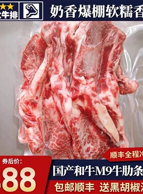 包邮10斤国产和牛m9无骨牛肋条雪花原切奶香烧烤烤肉炖煮牛肉套餐