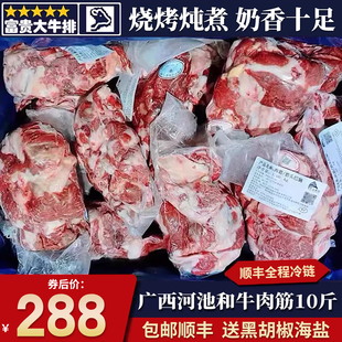 包邮10斤广西河池和牛牛肉筋筋头巴脑烧奶香原切谷饲霜降雪花牛肉