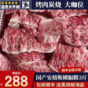 包邮3斤国产m3横膈膜牛排切片安格斯粗修原切烧烤烤肉清真牛肉