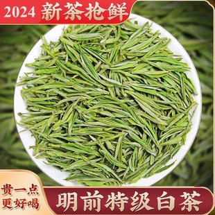 安吉白茶2024新茶正宗白茶茶叶特产级散装 500g绿茶春茶珍稀白茶