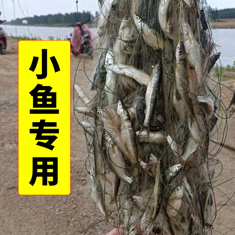 小鱼网一指单层白条餐条