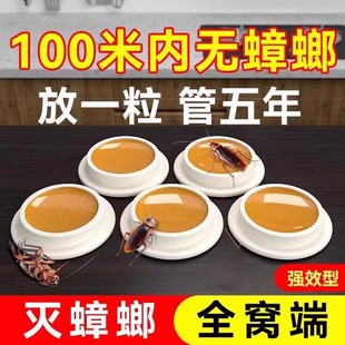 蟑螂药全窝端家用非无毒餐厅饭店杀虫小强克星神器厨房室内全窝端