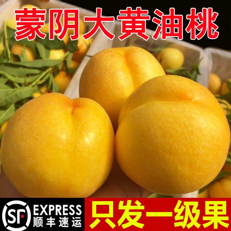 蒙阴黄油桃黄金油桃新鲜水果当季整箱应季桃子新鲜脆桃黄心黄桃