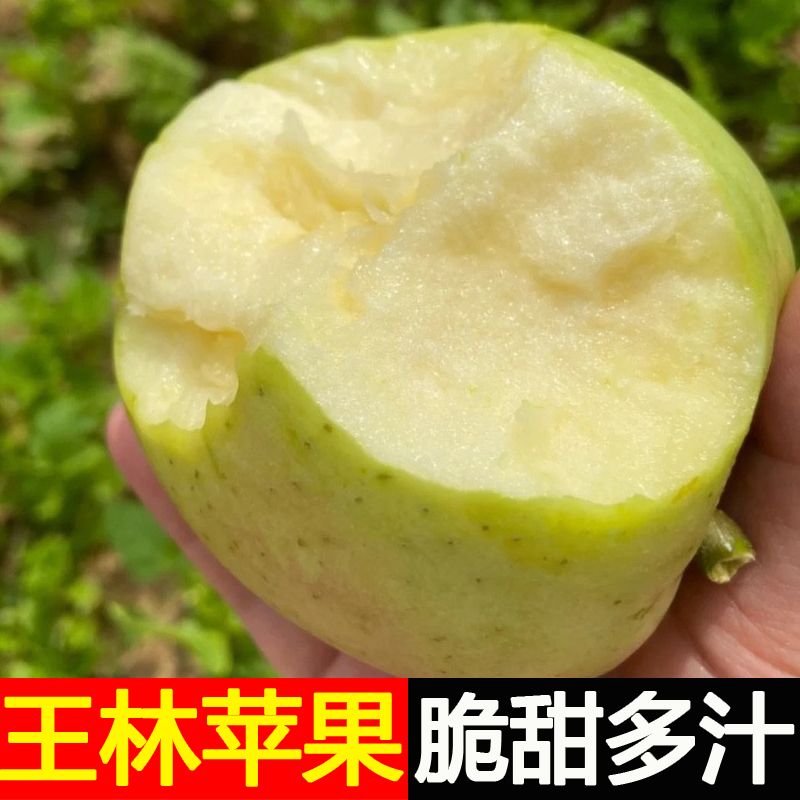正宗山东王林苹果应季青苹果水果新鲜脆甜青森雀斑苹果整箱丑苹果
