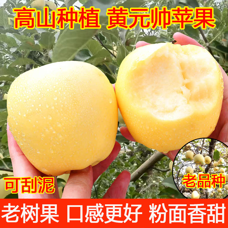 黄元帅苹果新鲜水果当季奶油红富士粉面刮泥黄金帅烟台香蕉平安果