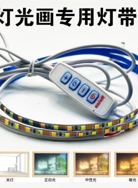 5v灯带三色变光灯带灯光画阳光画自粘led软灯条USB双色装饰灯相框