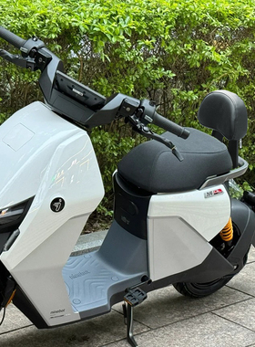 九号猎户座改装靠背九号Dz110pro专用后靠背猎户座配件带人腰靠