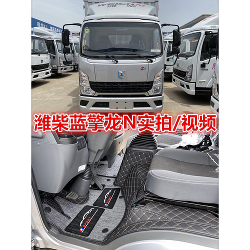 潍柴蓝擎悦龙N8Z1/K1/T1/N7脚垫