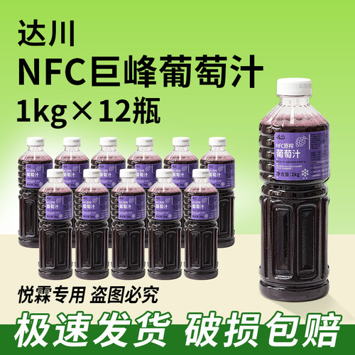 达川NFC冷冻葡萄油柑汁商用整箱