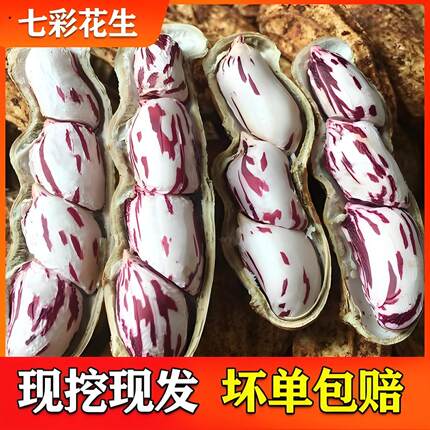 5新七彩花生云南普洱七彩晒干五彩花生生带壳熟花生零食