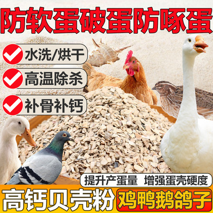 贝壳粉饲料 牡蛎粉贝壳饲料 鸡用补钙鸽子贝壳保健砂贝壳饲料包邮