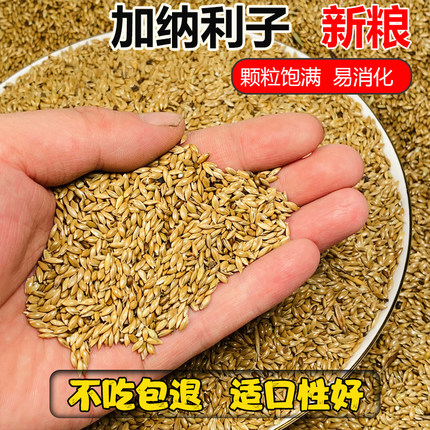 鹦鹉鸟食饲料加纳利子鸟食白尖粟草庐籽金丝雀玄凤虎皮鸟粮鸽粮