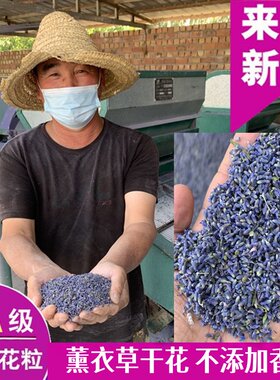 新疆薰衣草干花天然新花