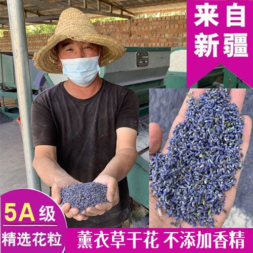 新疆薰衣草干花天然新花