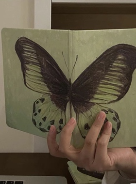 小红书同款复古绿色蝴蝶本A5A6高颜值ins风空白内页日程手账笔记