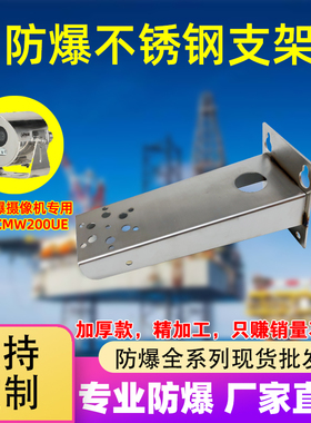 大华DH-EPCMW200UE车载摄像机监控化工专用不锈钢壁装防爆支架