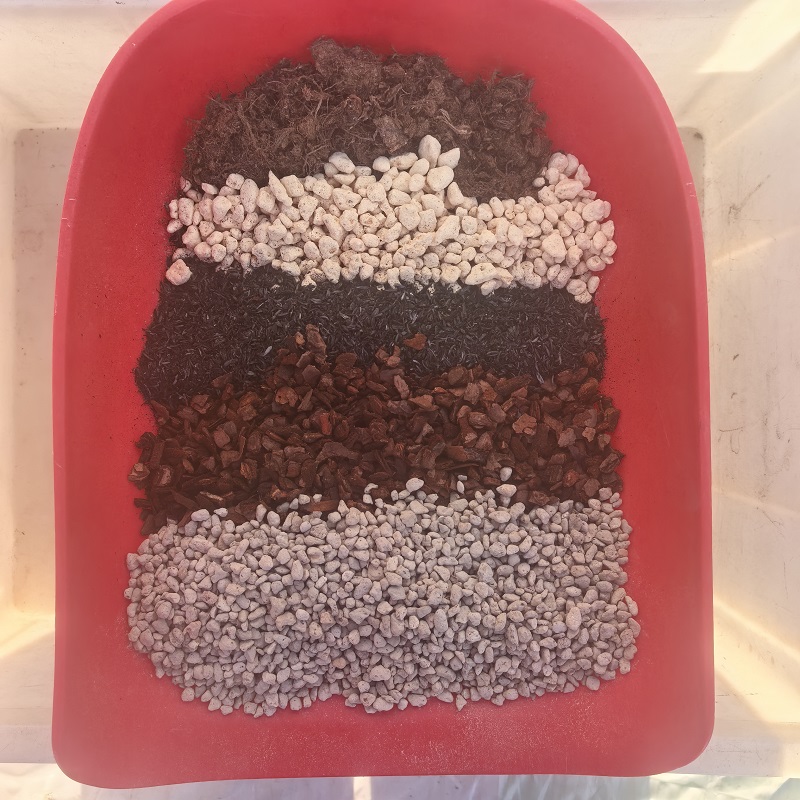 坤蓬润球根香草花卉专用