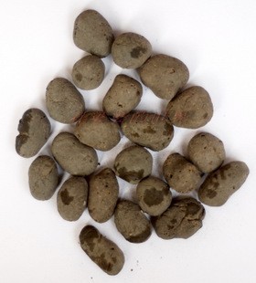 园艺大陶粒 底石/轻石/盆底石/排水透气防烂根 大部分2-3厘米 2升