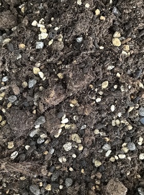 天南星营养土室内植物竹芋海芋龟背竹秋海棠花烛万年青白掌热植土