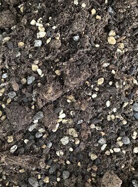 热植土天南星土秋海棠土花烛土