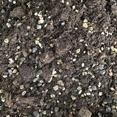 热植土天南星土秋海棠土花烛土