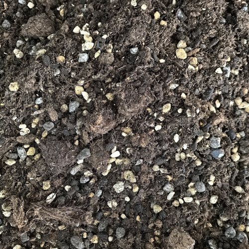 热植土天南星土秋海棠土花烛土