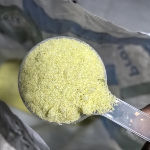 花多多多肉室内植物天竺葵绣球