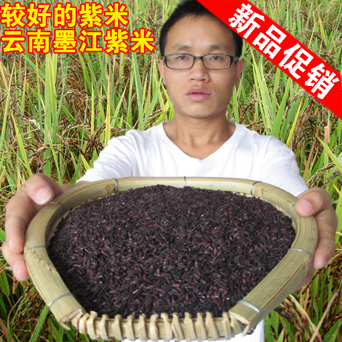 云南特产 正宗墨江紫米 老品种 月子米 血糯米 五谷杂粮 紫糯米