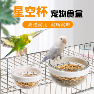 鹦鹉小号内挂鸟食盒碗透明玉鸟芙蓉丝雀喂食器喂保健沙喂水器