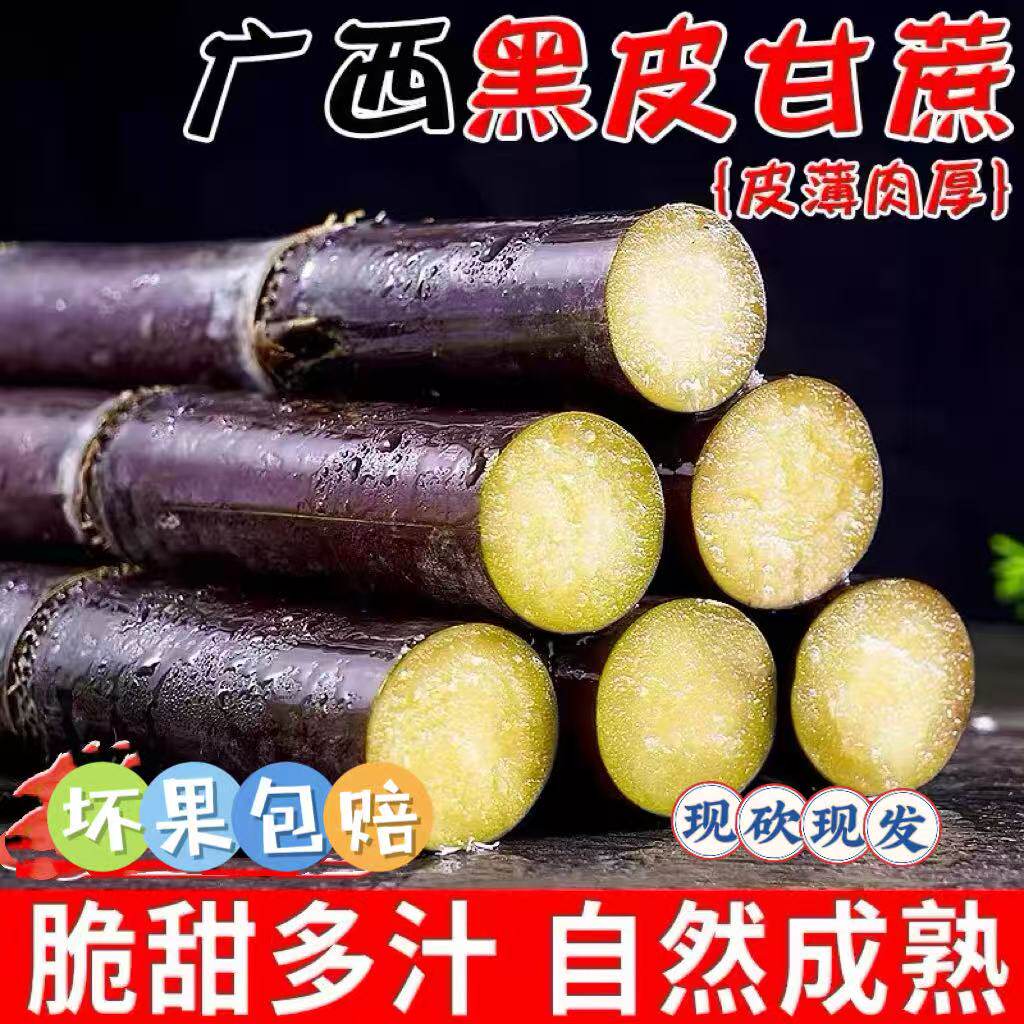 广西正宗黑皮甘蔗精选中段新鲜孕妇水果应当季脆甜多汁甜甘蔗特产